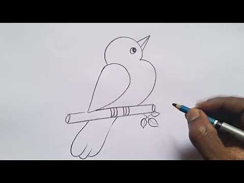 how to draw bird drawing easy step by step@Kids Drawing Talent