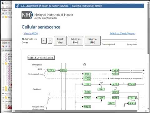 RNA-Seq Data Analysis Tutorial (7-1): Gene Annotation and Enrichment Analysis Using Web Tools and AI