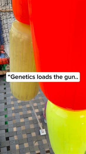 “Genetics loads the gun, but lifestyle pulls the trigger.” — Barbara O’Neill 💥 You might have the genes, but your daily choices decide whether they stay quiet or get activated. 👀 If you know you need to start making changes — but don’t know where to begin — I’ve got you. Comment one below 👇 and I’ll send you the exact starting point I walk my clients through to reset their health from the inside out. 🌿 #FaithAndWellness #HolisticHealth #FunctionalWellness #HealthyLifestyle #GetHealthyGodsWay