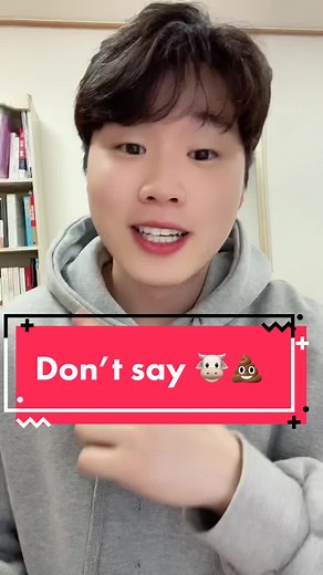 Commonly Used Korean Bad Words Explained
