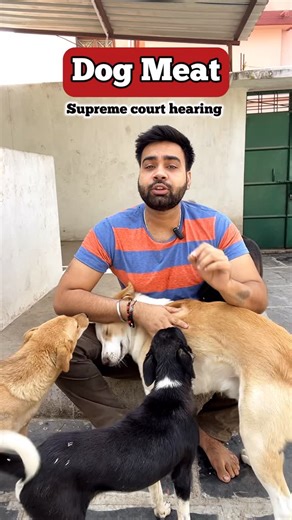 Supporters Of Unconditional Lives (SOUL) on Instagram: "Supreme Court on Dogs update #supremecourt #court #animal #animallover #animallovers #india #reel #reels"