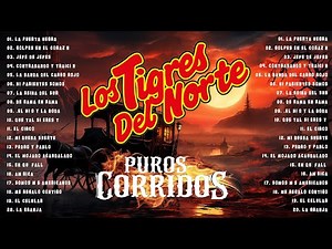 2 Hora De Puros Corridos De Los Tigres Del Norte Éxitos - Los Tigres Del Norte Mix 2024 Pa Pistea'r