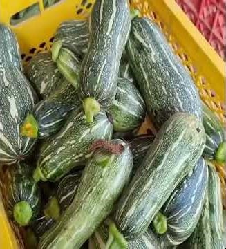 Orphan Children Forced to Grow Up Too Soon | Heartbreaking Reality of Childhood Poverty#orphan #mama