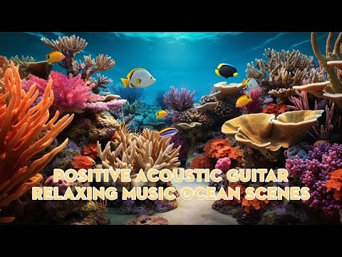 Sunny Sea Life ☀️ | Positive Acoustic Guitar & Relaxing Ocean Scenes #relaxingmusic