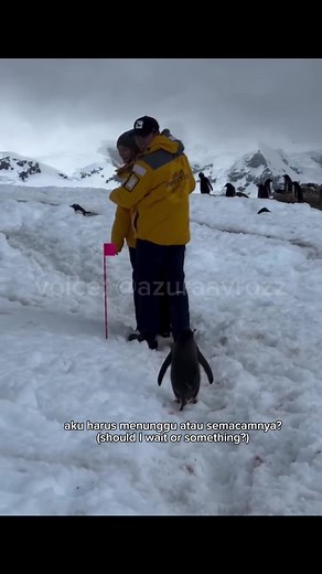 Dubbing Hewan Lucu: Suara dan Humor yang Menghibur