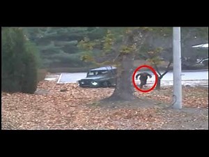 Bloß weg aus Nordkorea: UN veröffentlichen Video von Flucht eines nordkoreanischen Soldaten