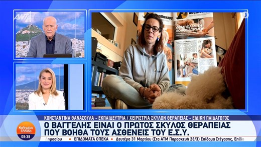 Ο Βαγγέλης είναι ο πρώτος σκύλος θεραπείας που βοηθά τους ασθενείς του ΕΣΥ - Καλημέρα Ελλάδα - 19/03/2025