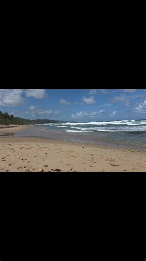 "The Soup Bowl" in Bathsheba, Barbados 🇧🇧, is not just one of the mo... | surfing
