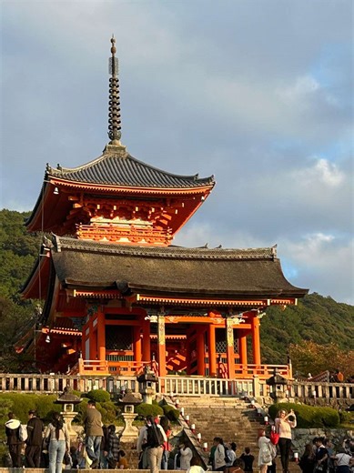 Exploring Study Opportunities in Japan: Insights and Tips