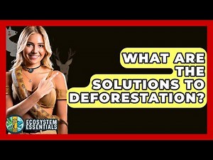 What Are The Solutions To Deforestation? - Ecosystem Essentials