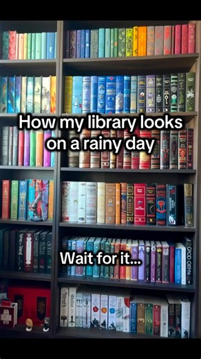 How my library looks vs how my library FEELS on a rainy day! 😊 #bookcommunity #bookstagram #bookreelsofinstagram #bibliophile #fantasybookstagram #bookishreels #librarygoals #darkacademiavibes #darkacademiabooks #imagination | His and Hers Book Club