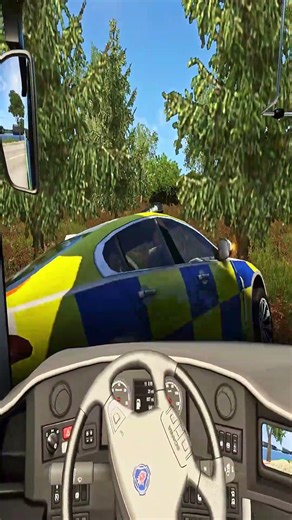 Illegal Overtake Gone Wrong 💀 | Bus Crash into Police Car | ETS2