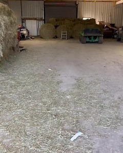 Roughly 2 weeks ago Forgotten Felines received an inquiry asking for help with an overpopulation of kitties at their farm (which is used to help wounded veterans and children!!). We took a trip out to assess and immediately knew it would be a big job, but we were up for the challenge!! Saturday we began trapping and caught 27 cats and kittens. Many of the mama cats are inexperienced and do not know how to take care of their babies. Our experienced bottle feeders have stepped in to help them. Mos