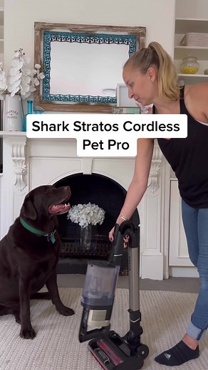 The Shark Stratos Cordless Pet Pro by @Shark Clean Australia has the most powerful suction amd hair pick up of any Shark cordless stick vacuum and boy do we need it with Archie xx #sharkcleanau #SharkStratos #cleanmorewithshark