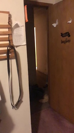 Take a drunk girl home #foryou #justaprank #meme