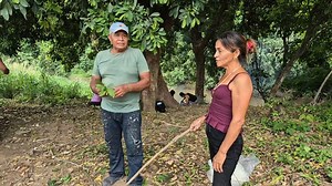 Don Lino Puso En Su Lugar A Doña Noemí Por Shute Al Cuate le Pasó esto | Alo Chapin