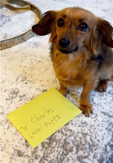 pinnerandpaper on TikTok