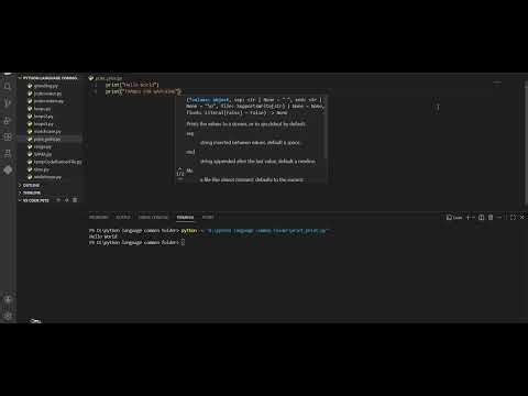 PYTHON (print function)