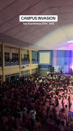 newspringag (@newspringag)’s videos with original sound - newspringag