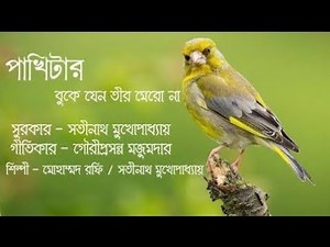 Pakhitar Buke Jeno Tir Mero Na Full Song | Mohammed Rafi | Na Na Na Pakhitar Buke | Old Bengali Song
