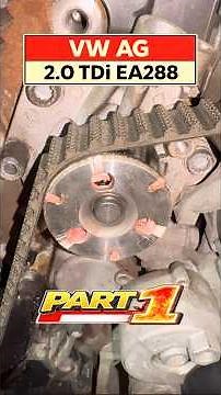This Timing Belt Is Destroyed by Coolant.