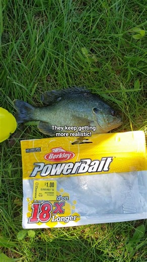 There so realistic!😂 #fishing #sunfish #bluegill
