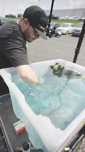 248K views · 3.1K reactions | Frequent validation testing is crucial...