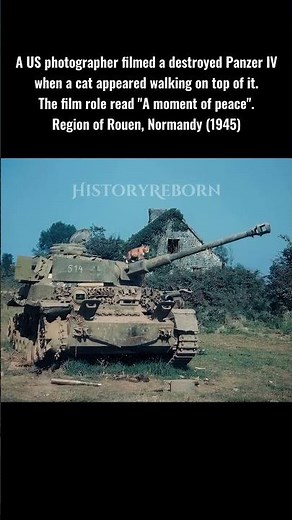 WW2 Historic Footage Colorized: Destroyed Panzer IV #ww2stories #ww2