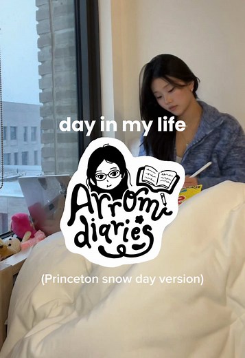 a little snow day vlog to commemorate the blizzard ☃️#vlog #princeton #college #university #dayinmylife