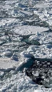 2.2K views · 86 reactions | The view from the ship is nothing short of breathtaking. Surrounded by vast icebergs and sea ice, the beauty of Antarctica is on full display to our team of delighted Inspiring Explorers™. ❄️ View all the Expedition updates at https://nzaht.org/encourage/inspiring-explorers/ross-sea-antarctica-2025/. #inspire #explore #discover #conserve #Antarctica #RossSea #polar #expedition #heritage | Antarctic Heritage Trust | Facebook