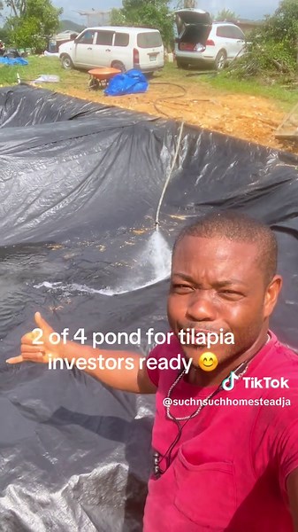 Beginner's Guide to Starting a Tilapia Fish Pond