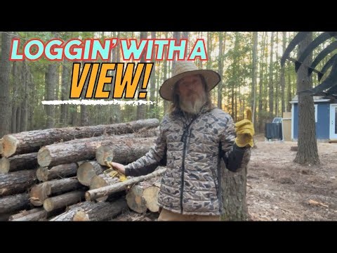 Mahindra 2638 with Grapple | Logging