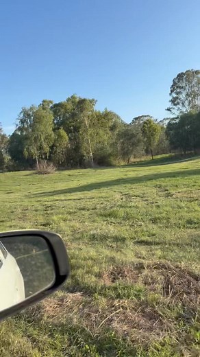 We’re not good at videos but we sure are good at slashing! | Gladstone Slashing Services | Facebook