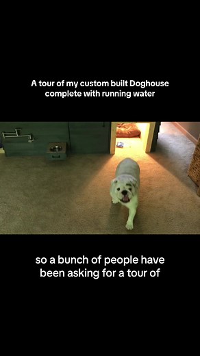 Custom Built Doghouse Tour with Running Water
