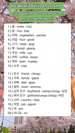 Aprende Coreano: Vocabulario Básico y Conversación