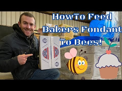 How To Feed Bakers Fondant to Honey Bees. Hints And Tips