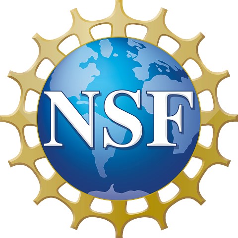 Austin Coursey is Awarded NSF Graduate Fellowship