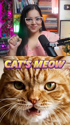 CAT'S MEOW in English Vocabulary! | Speak English with Shivangi