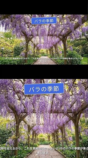 The spring finale of the Yokohama Flower Expo #YokohamaFlowerExpo #YokohamaGreenExpo #GREENEXPO20...