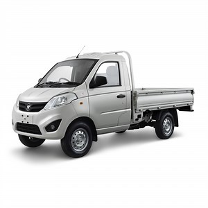[Hot Item] Foton 4X2 Gasoline 1t 2t Mini Cargo Truck