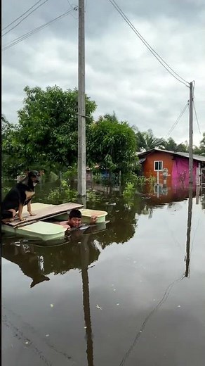 🤣😂 #shots #KhaohomConfirms #Funny