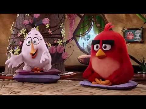 Primera Clase De Control De Ira - Angry Birds - Español Latino.