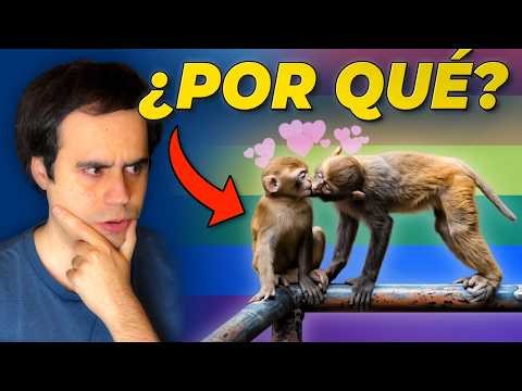 Study reveals NEW data on HOMOSEXUALITY