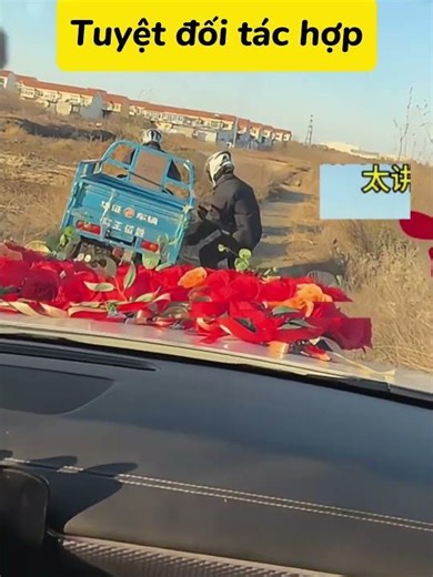 Tuyệt đối tác hợp #funny #memes #shiny0310 #haihuoc #foryou