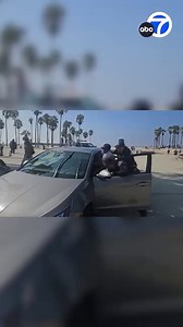 2.1K views · 110 reactions | DRUNK DRIVER: A man was caught on video drinking a beer while driving down the Venice Boardwalk before he struck and injured a pedestrian, authorities said. https://abc7.la/468vcTE | ABC7 | Facebook