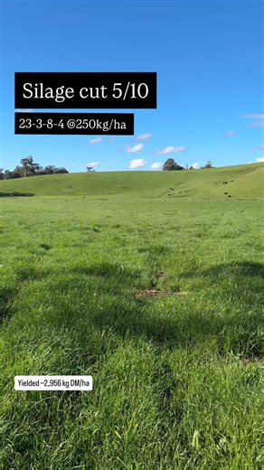 Nitrogen delivers measurable gains 💥 A side-by-side comparison of two paddocks, cut on the 5th of October, found that applying 57.5kg N/ha can DOUBLE your yield. ✨ Paddock 1 yielded 2955.56kg DM/ha ✨ Paddock 2 had 1377.78kg DM/ha available ➡️ Meaning that there was more than double the feed (115% increase) on offer when fertiliser is applied! In this scenario, 1 unit of Nitrogen grew 27.4kg of Dry Matter 🤩. Accounting for the cost of the fertiliser applied, the additional grass grown cost $145