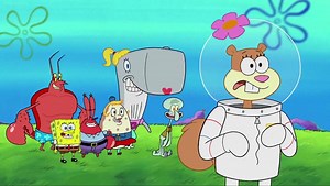 Episode Recap: Feral Friends