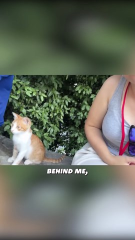 Inside a $37,000,000 luxury superyacht