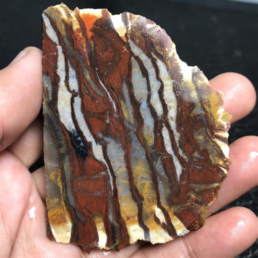 Unpolished Petrified Wood Slab, 73x55x7 Mm Lapidary Stone, Jewelry Making - Etsy