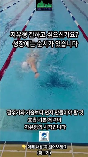 자유형 잘하고 싶다면 꼭 알아야 할 5가지 호흡·거리·속도 훈련법 (설명확인)